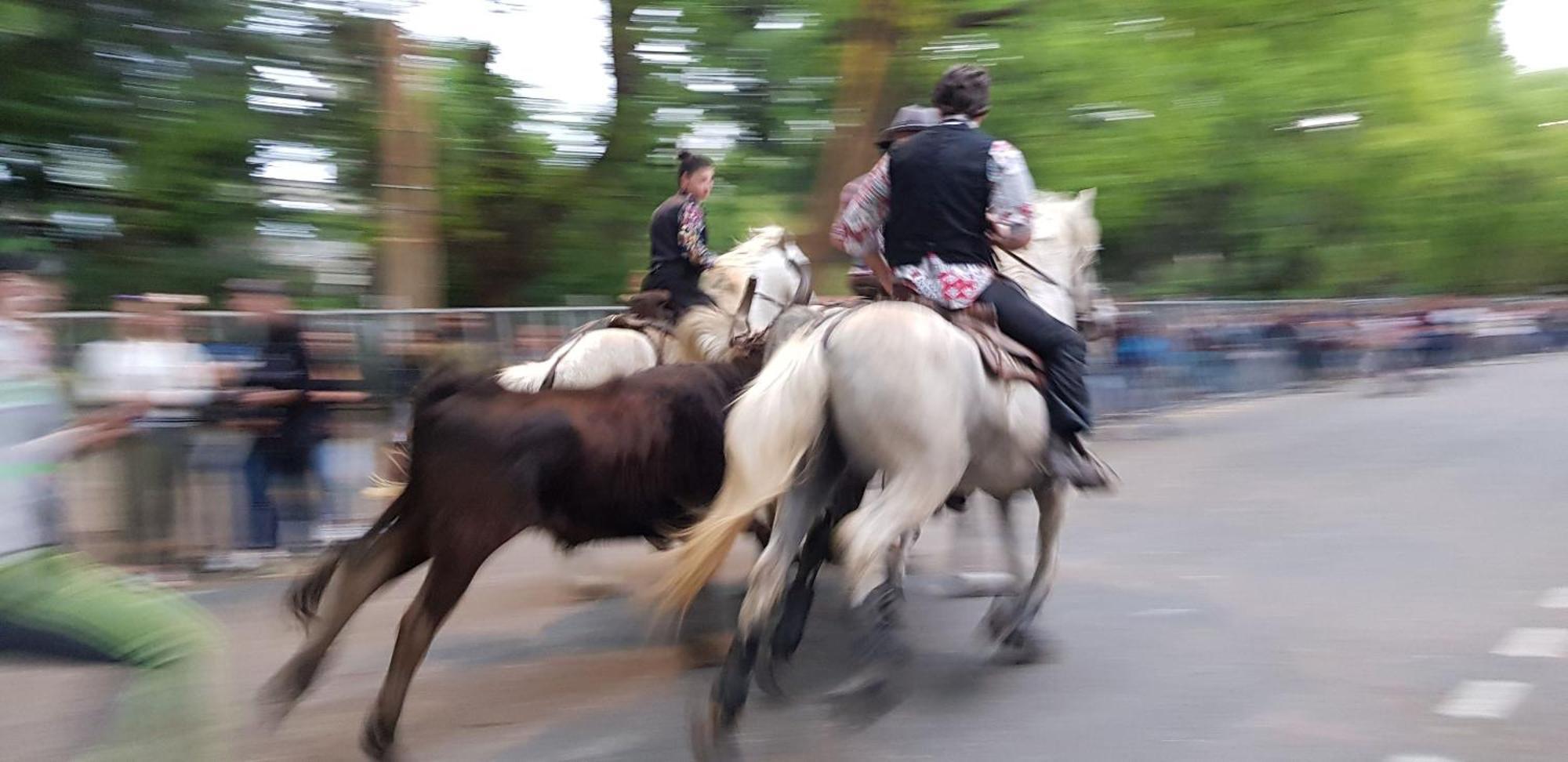 فندق Le Cheval Blanc آرْلْ المظهر الخارجي الصورة